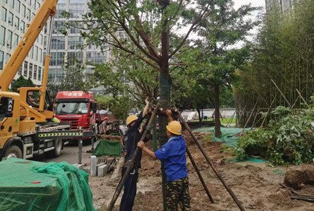 园林绿化施工