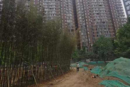 园林绿化施工